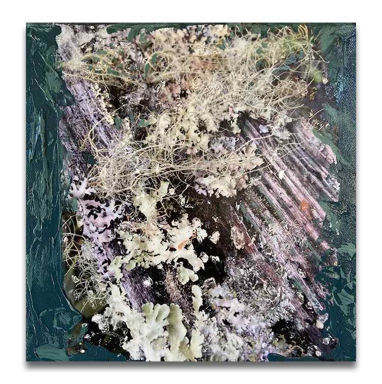 To Meg by Mila Rossi 