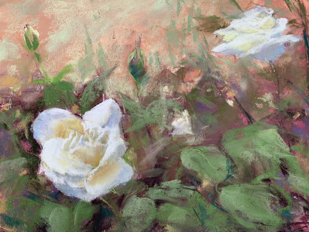 Garden Roses, Ravello by Jeanne Rosier Smith 