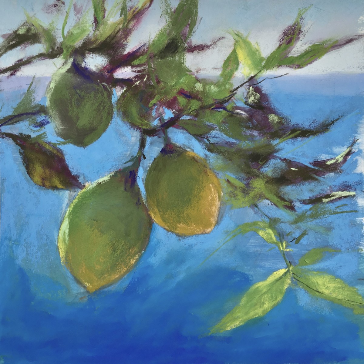 Italian Lemons by Jeanne Rosier Smith 