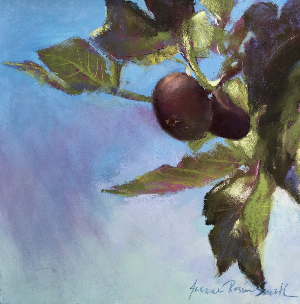 Italian Figs by Jeanne Rosier Smith 