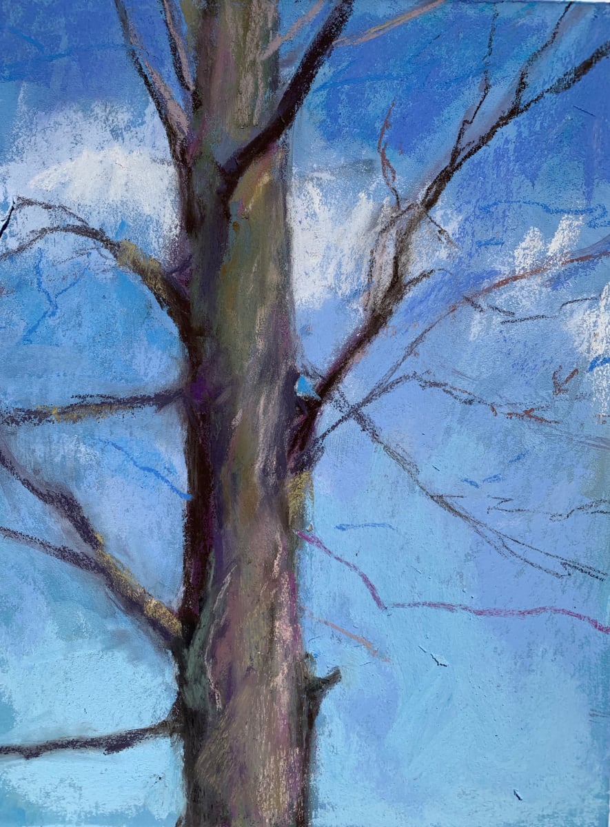 Spring Branches by Jeanne Rosier Smith 