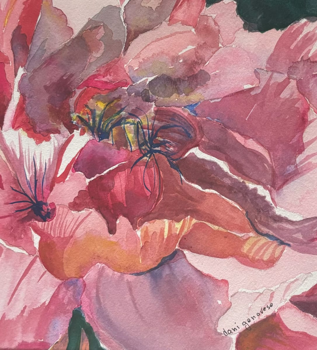 An Insiders View by Dannielle Genovese, Image 1.