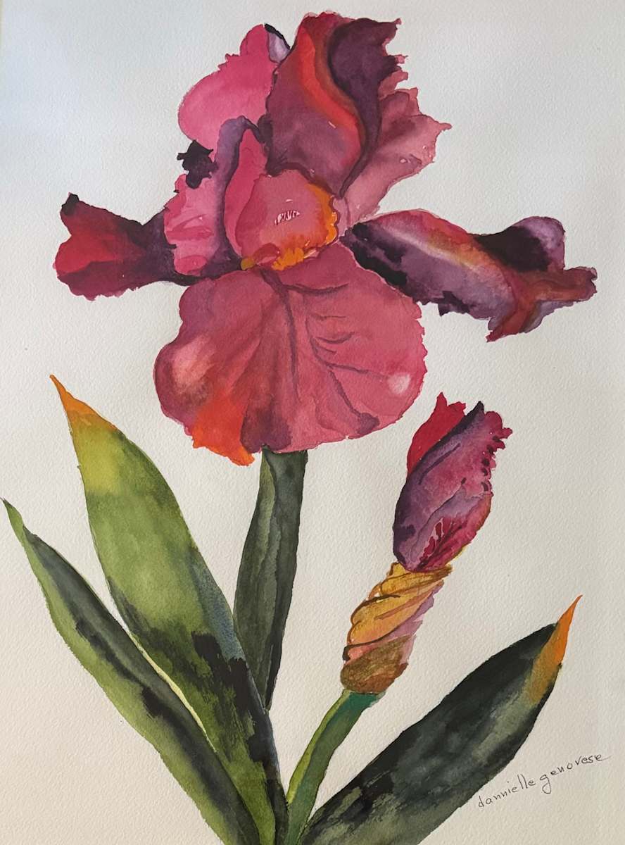 The Incredible Iris by Dannielle Genovese, Image 1.
