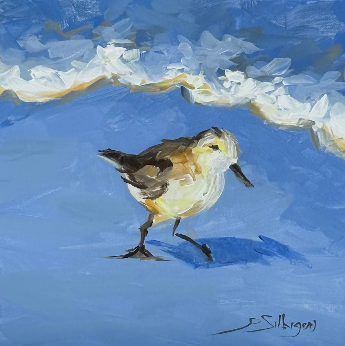 Scoot and Scooch by Patricia Silbiger 