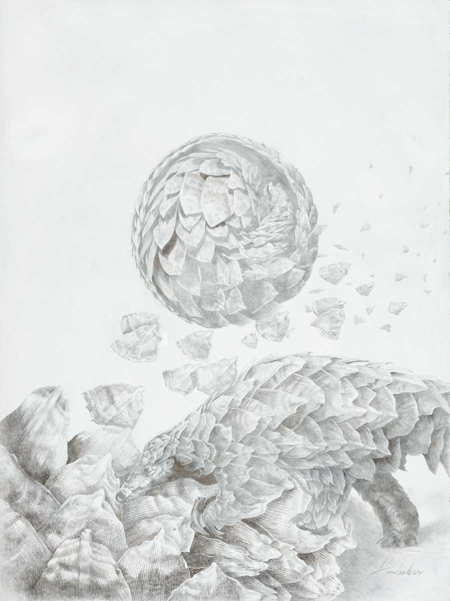 Pangolin in Peril by Hawbaker-Fine Art, Image 1.
