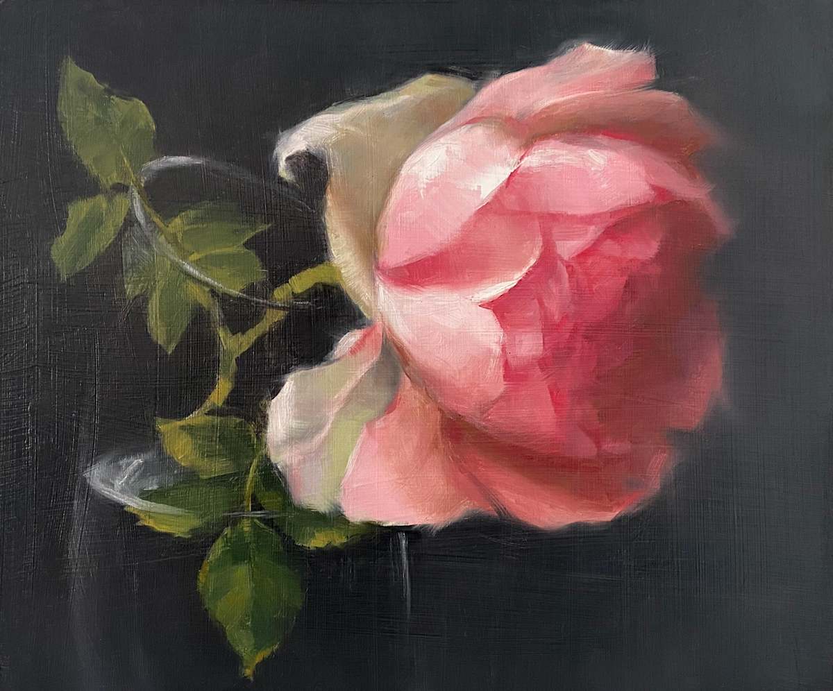 Rose by Maria Radun 
