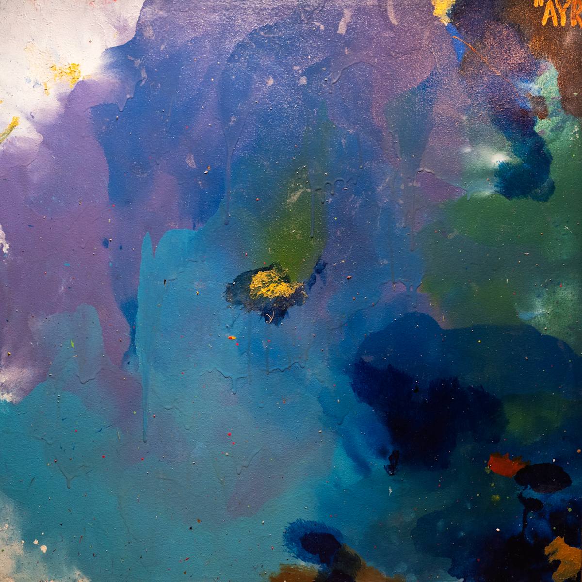 Iris by Melissa Ayr  Image: Iris