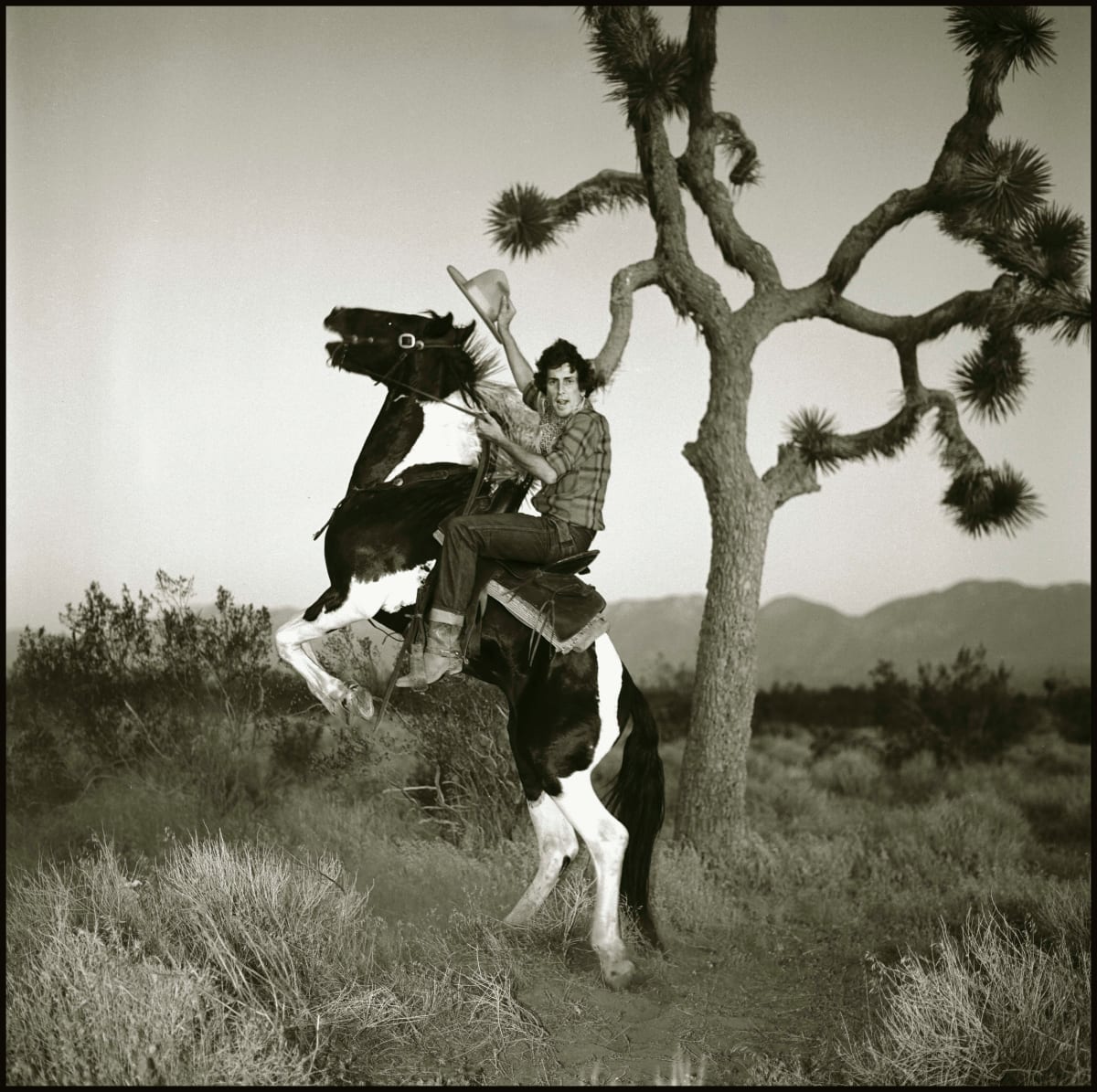 Cowboy on Rearing Horse by Frank Gargani 