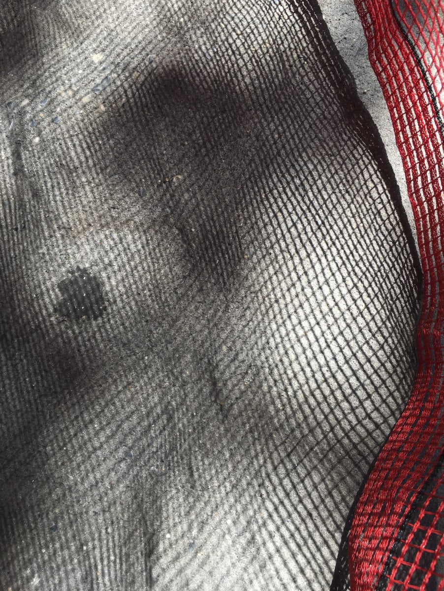 Burlesque by Terry Frishman 