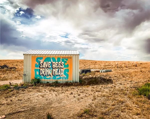 Save The Bees by Daniel Jenney 