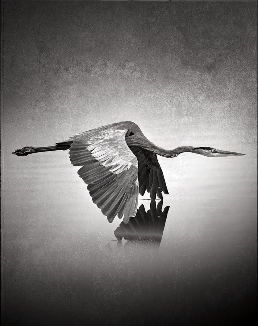 The Waters Touch by Robert David Atkinson 