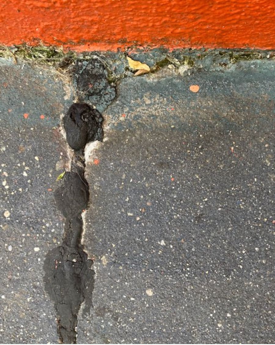 Orange Sky by Terry Frishman 