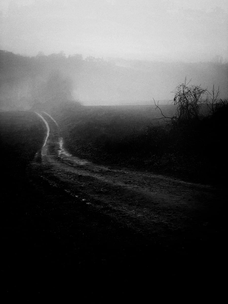 Path with Heart (unframed) by Carlos Alejandro, Image 1.