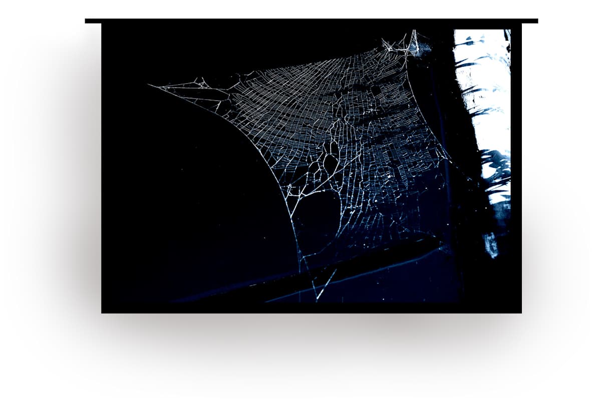 Teia Quadrangular by Isidora Gajic, Image 1.
