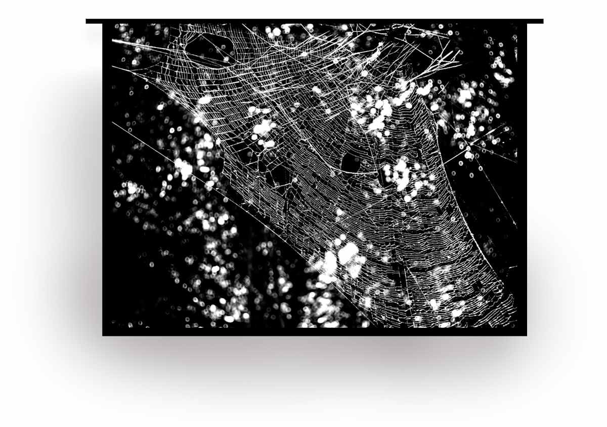 Web | by Isidora Gajic, Image 1.