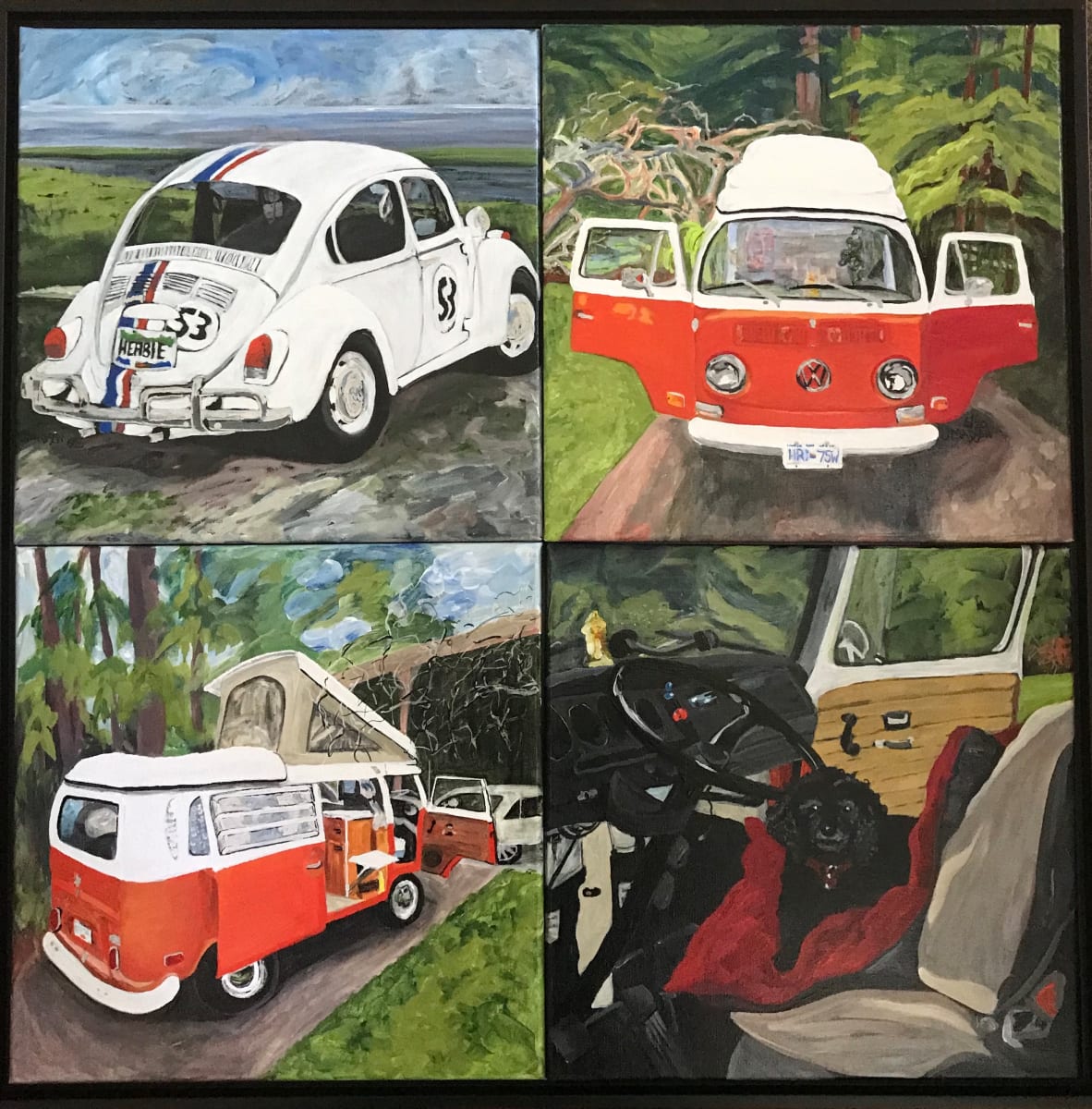 Ryan Krell’s VW collection 