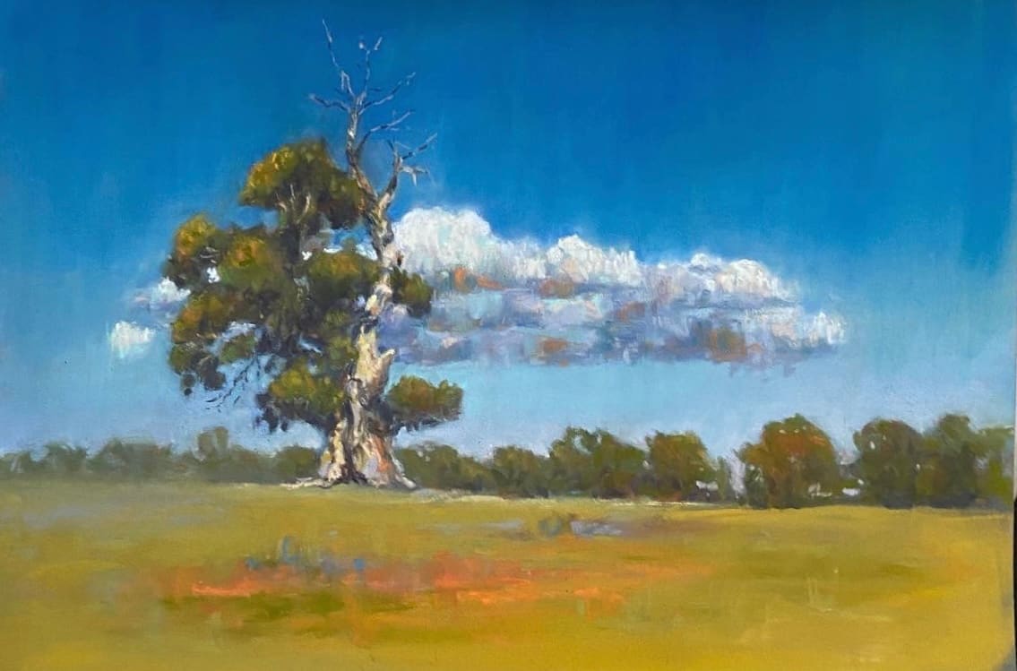 Old remnant at Murdoch Hill Winery by Susan Penfold 