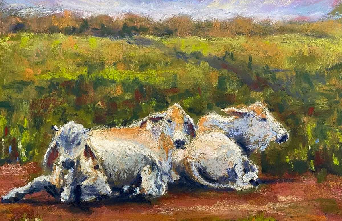 Wet season lethargy by Susan Penfold 