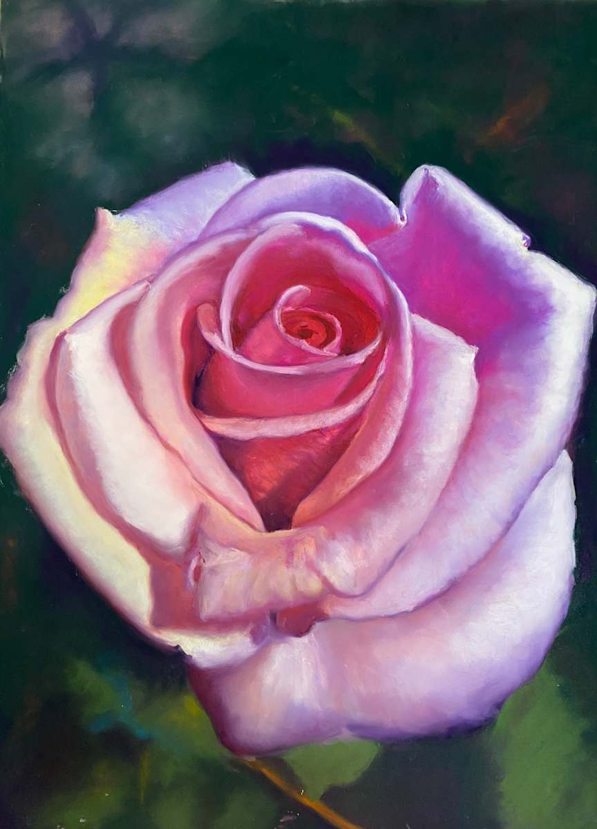 Rose by Susan Penfold 