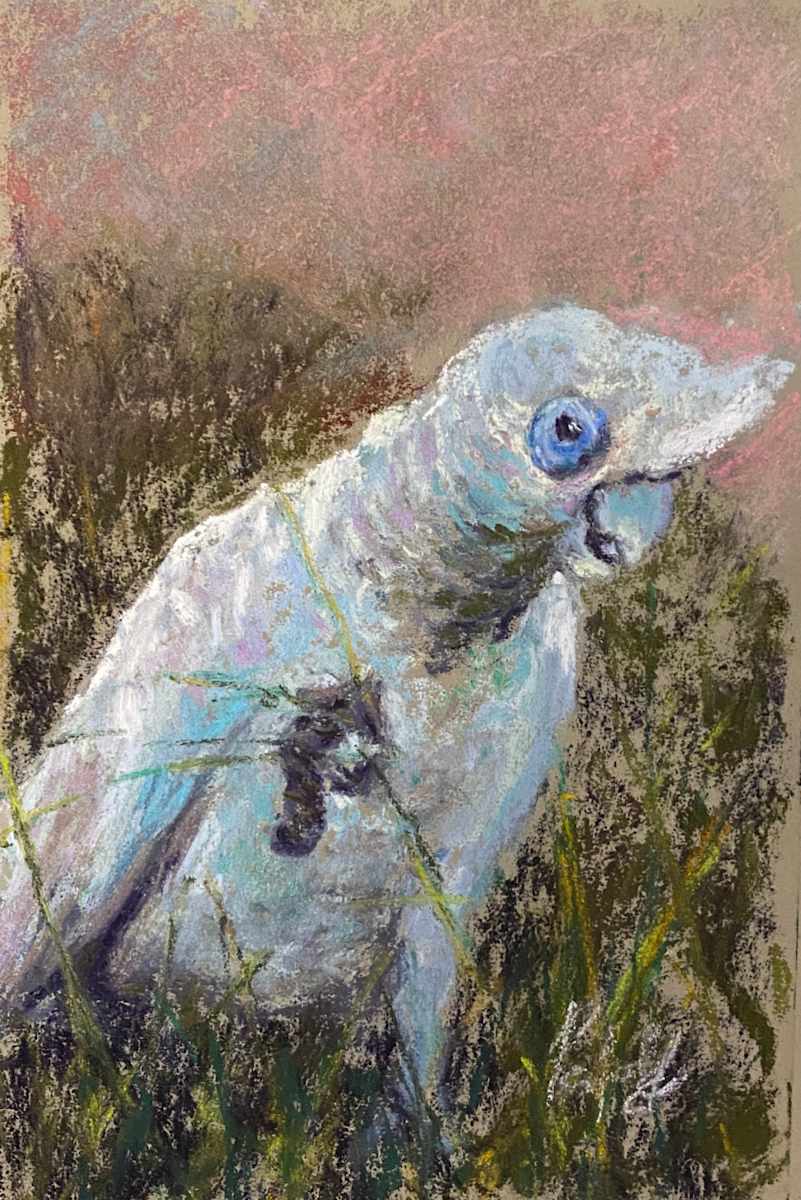 Cheeky by Susan Penfold 