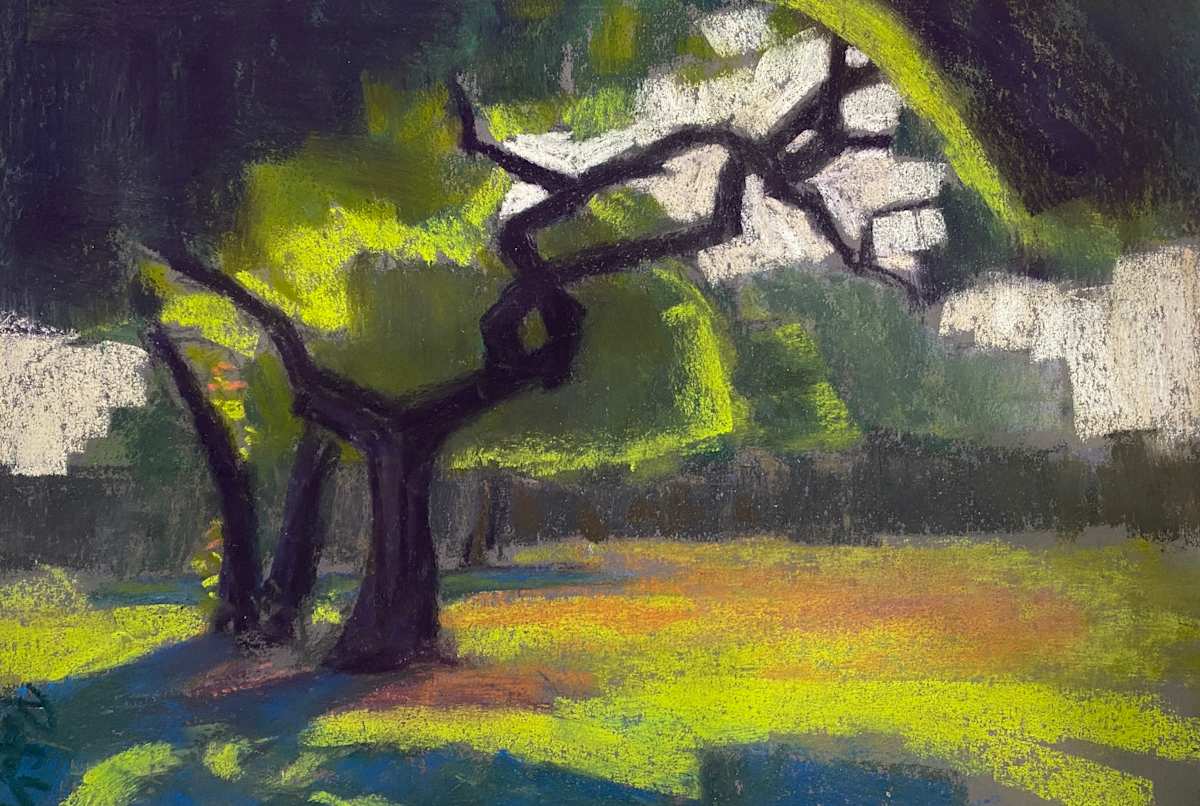 Morning contemplation by Susan Penfold  Image: En plein air sunset park darwin 