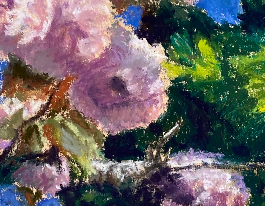 Spring Blossoms by Susan Penfold 