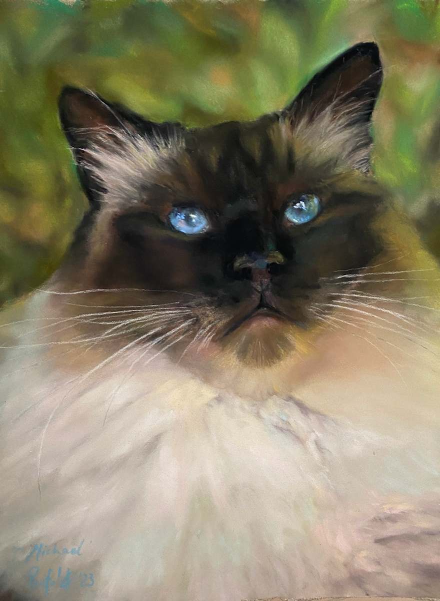 Fiona's cat by Susan Penfold 
