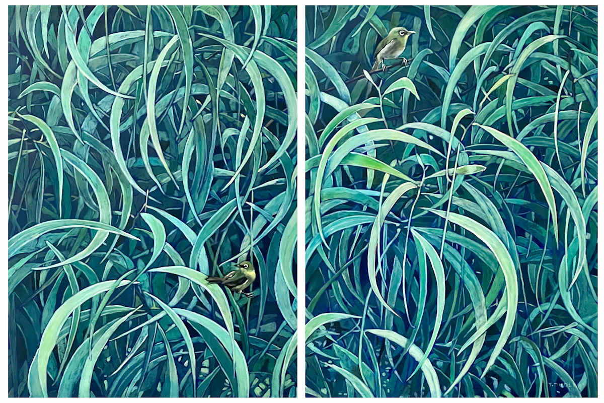 Mejiro in a Koa Tree by Tracy Dudley, Image 1.