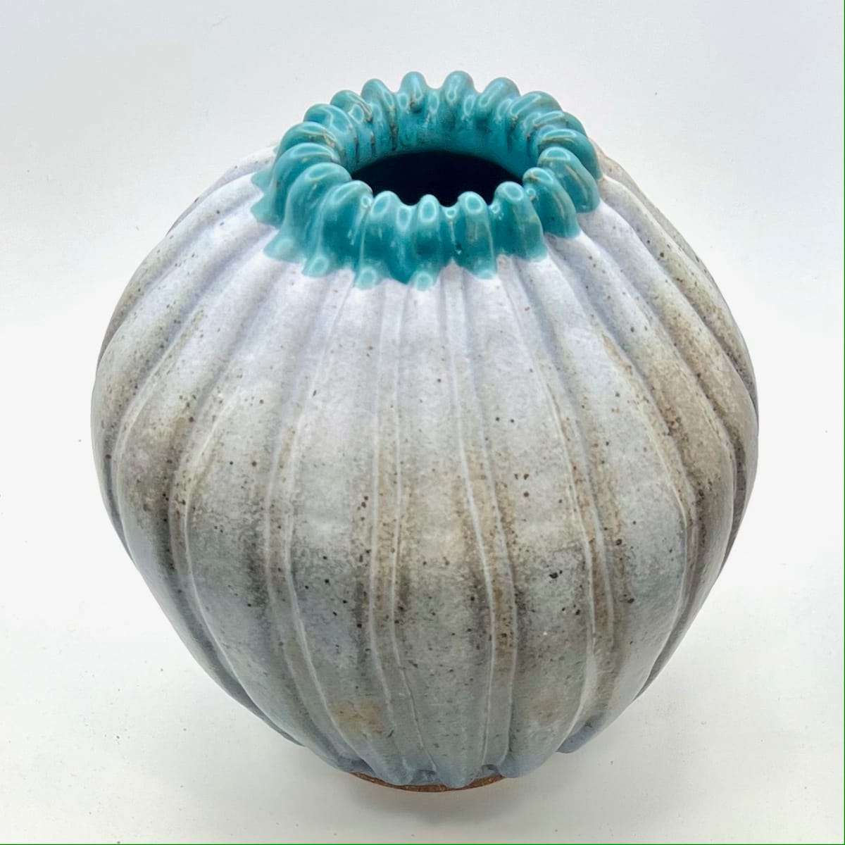 Zooper II by Tracy Dudley, Image 1.