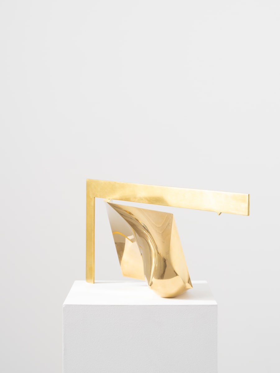 Breast / 10 / To Be Determined by Christopher Ho  Image: Studio Documentation 1