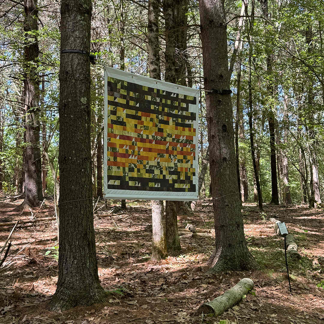 Trees Remember: Philadelphia 2023 Temperature Quilt Installation by Jody Graff, Image 1.