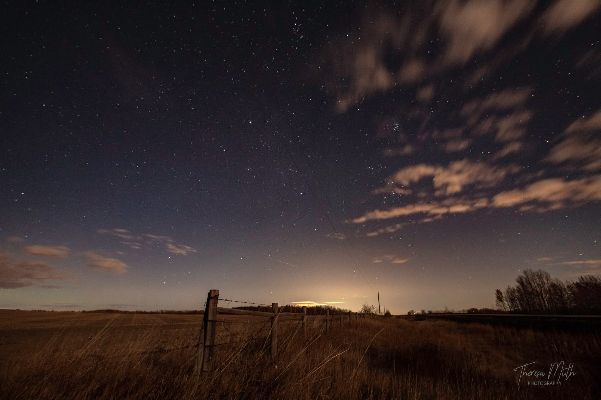 Silent Field by Theresa Muth  Image: Silent Field