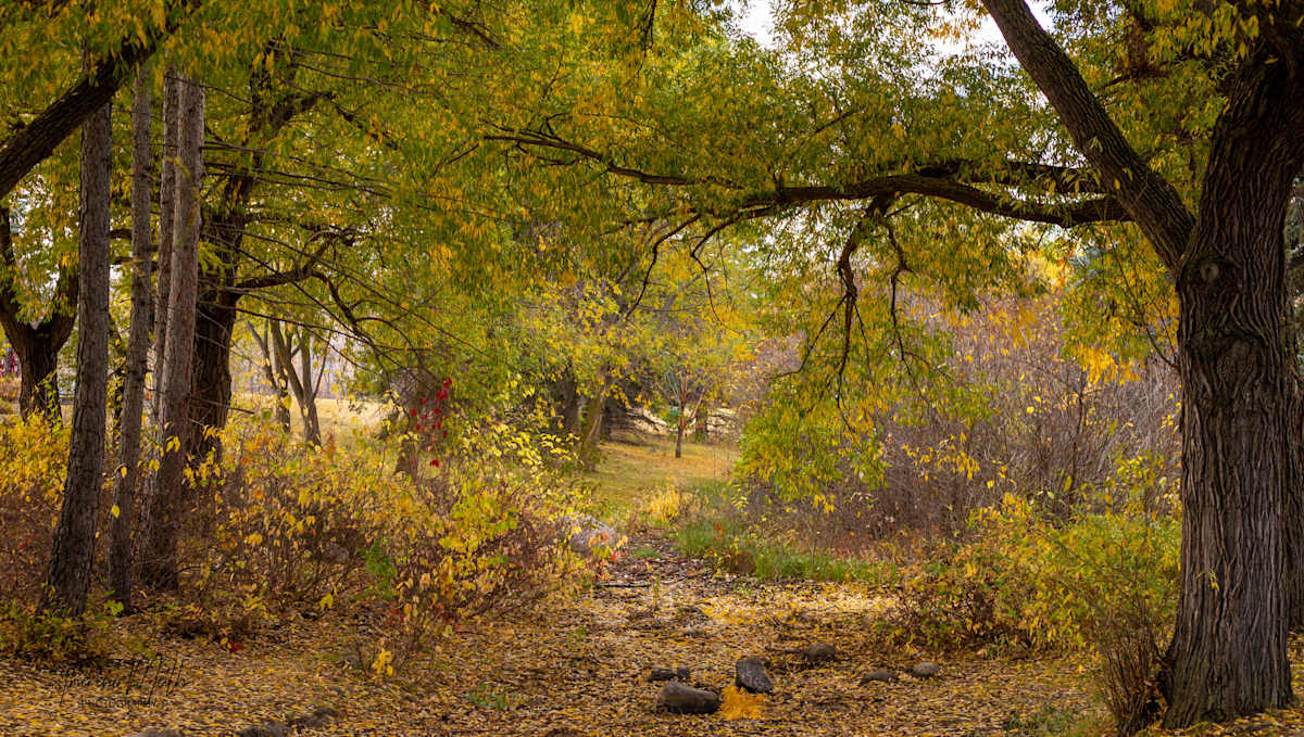 Fall at Hawrlack by Theresa Muth, Image 1.