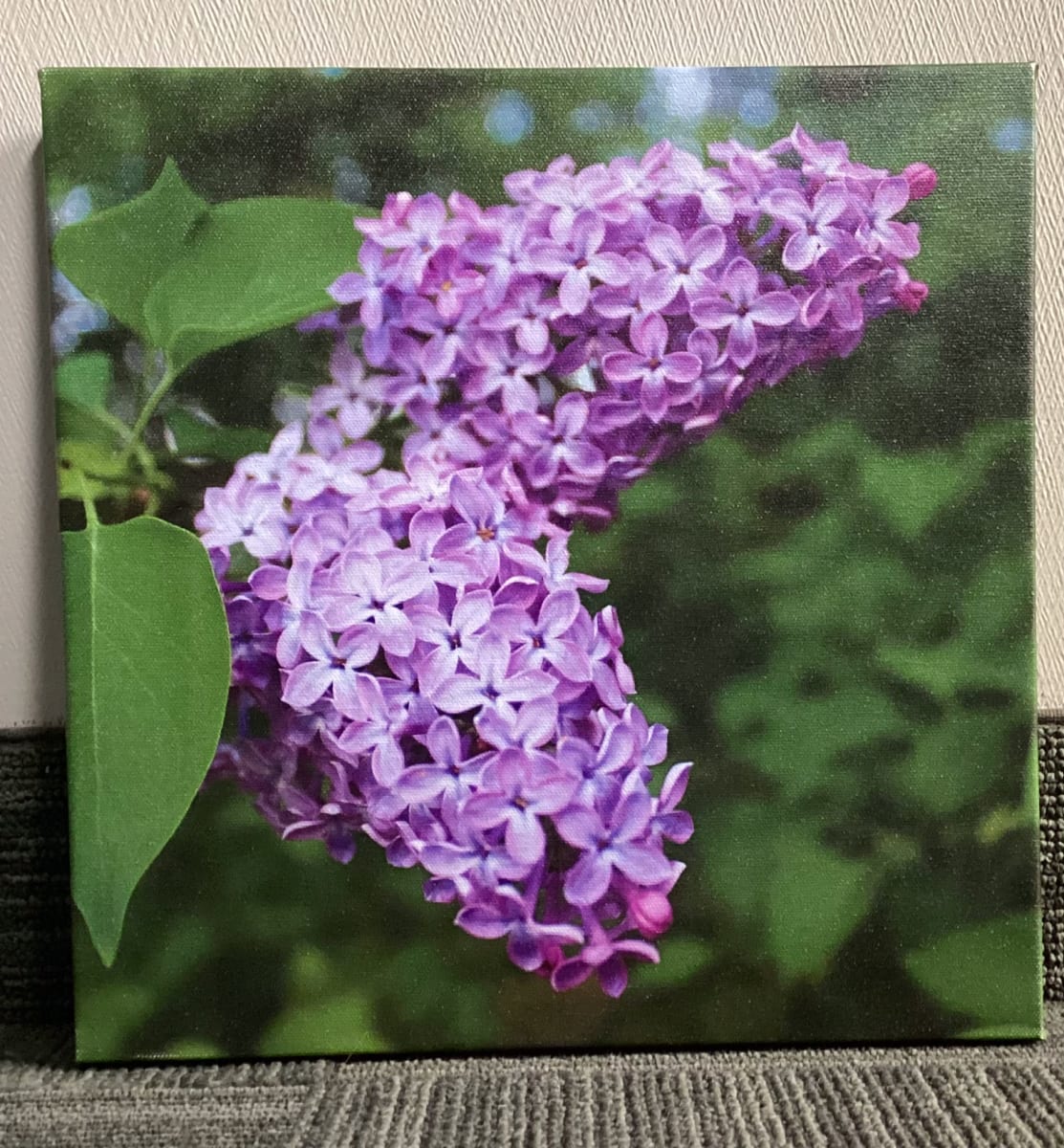 Lilacs by Theresa Muth 