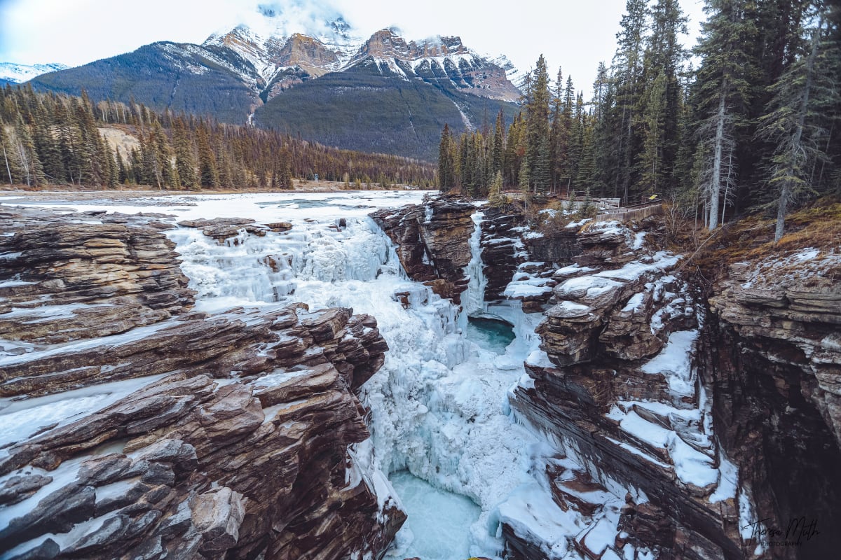 Athabasca Falls by Theresa Muth 