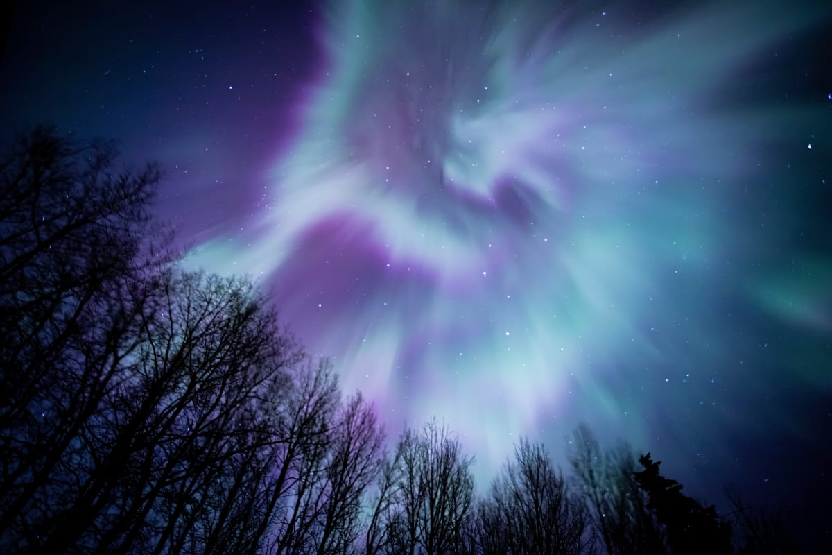 Aurora Borealis - No Glass by Theresa Muth 