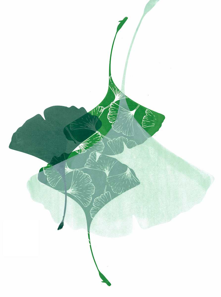 Emergence by Ilana Dashe, Image 2.