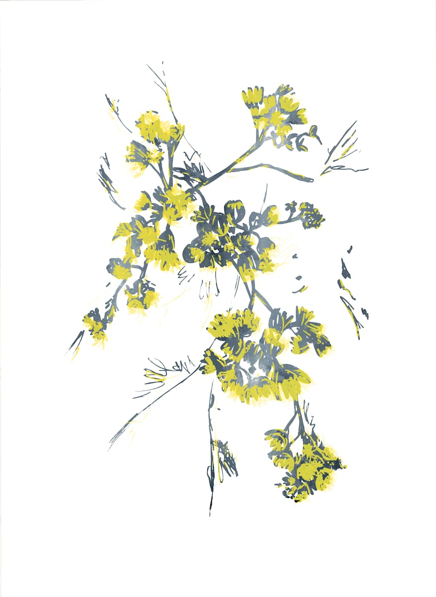 Silverdust - Resilience by Ilana Dashe 