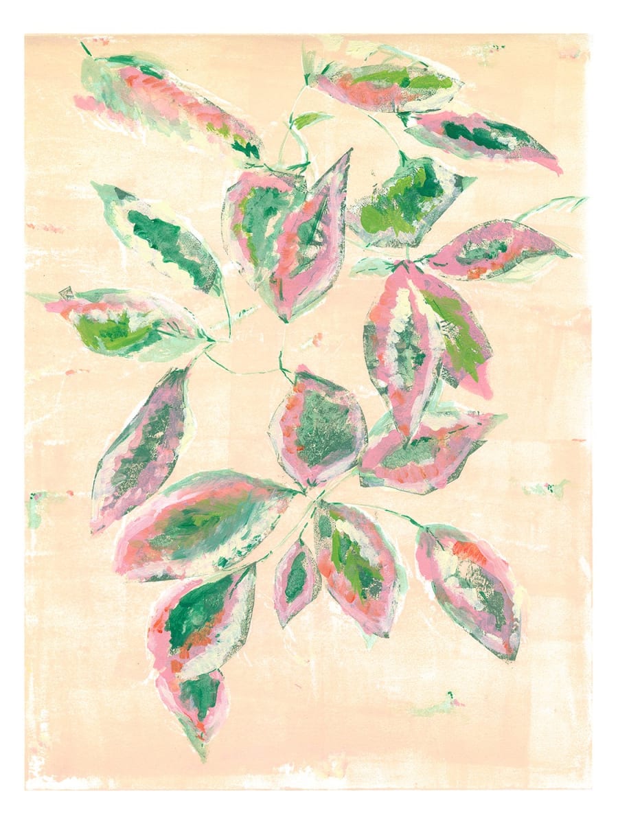 Pink Ficus by Ilana Dashe, Image 1.