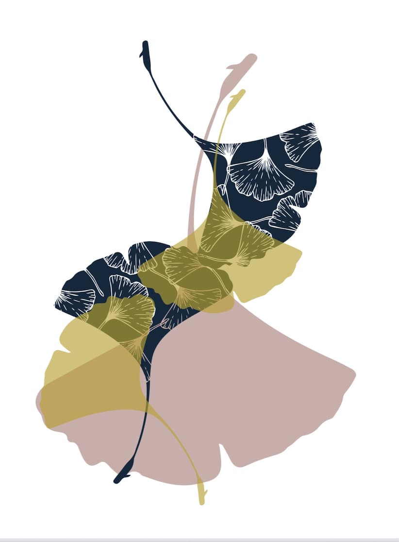 Ginkgo Mauve by Ilana Dashe 