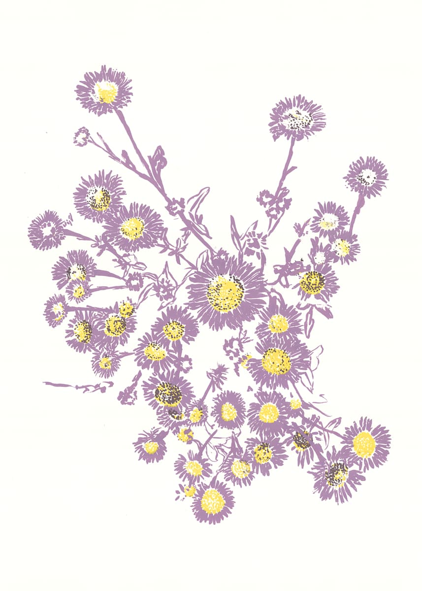 Seaside Daisy - Beginnings by Ilana Dashe 