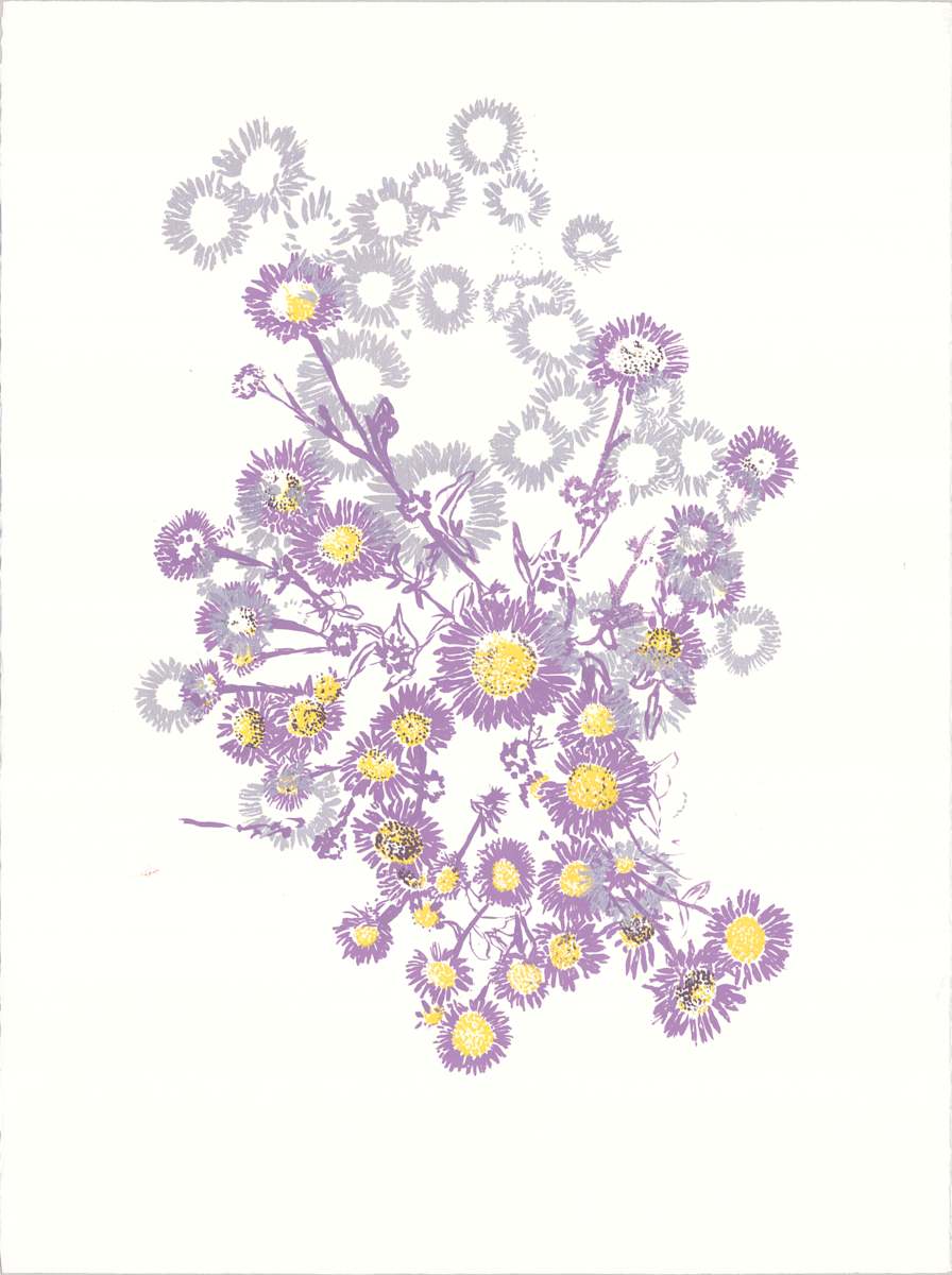 Seaside Daisy - Silver by Ilana Dashe 