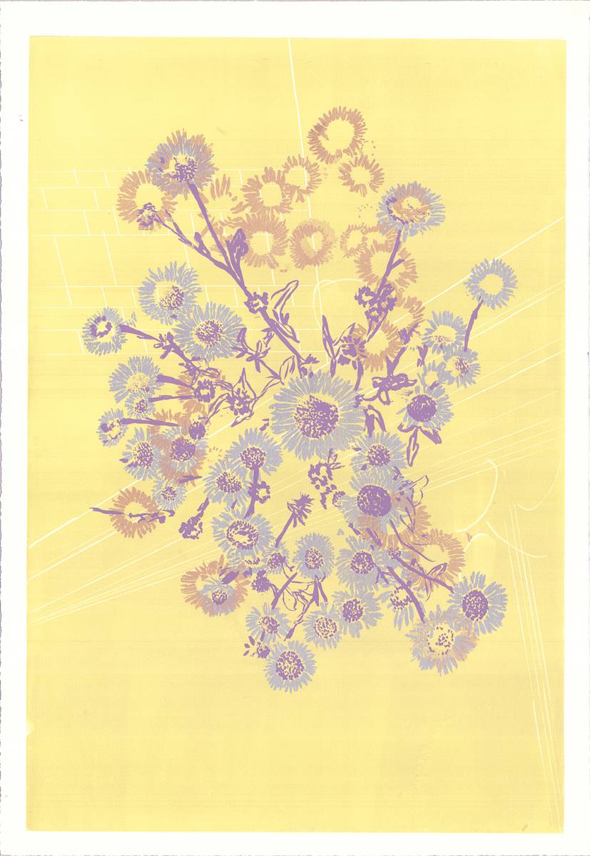 Seaside Daisy - Yellow by Ilana Dashe 