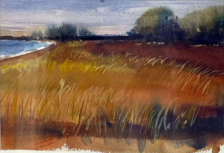 Hammo view by Steven Plaziak, Image 1.