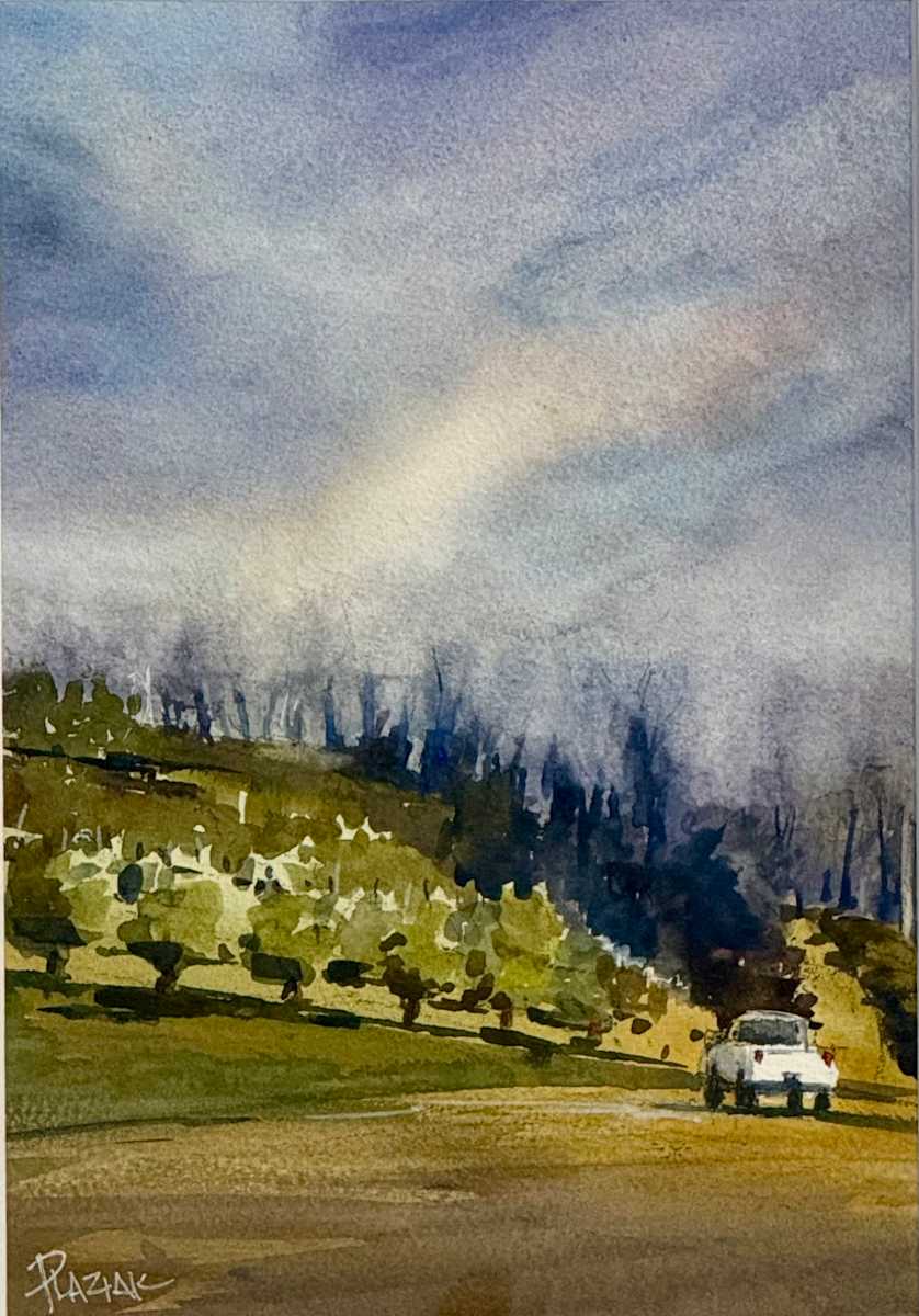 Bishops orchard by Steven Plaziak 