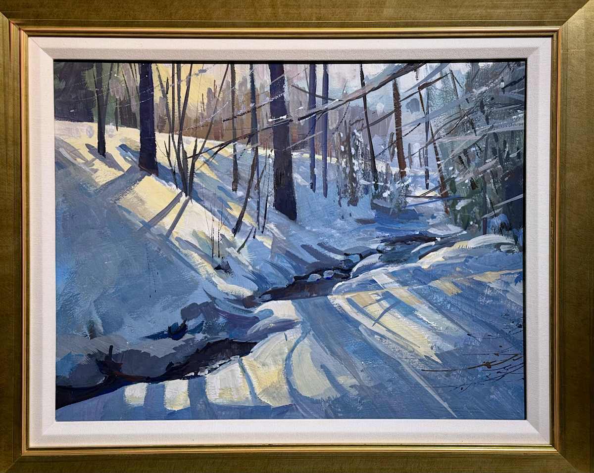 Patterns in cold sunlight by Steven Plaziak, Image 1.