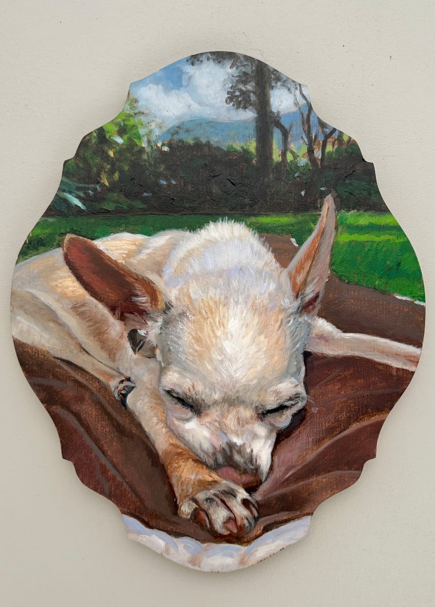 Emmy Sleeping by David Vegt  Image: My partner Sonia's dog