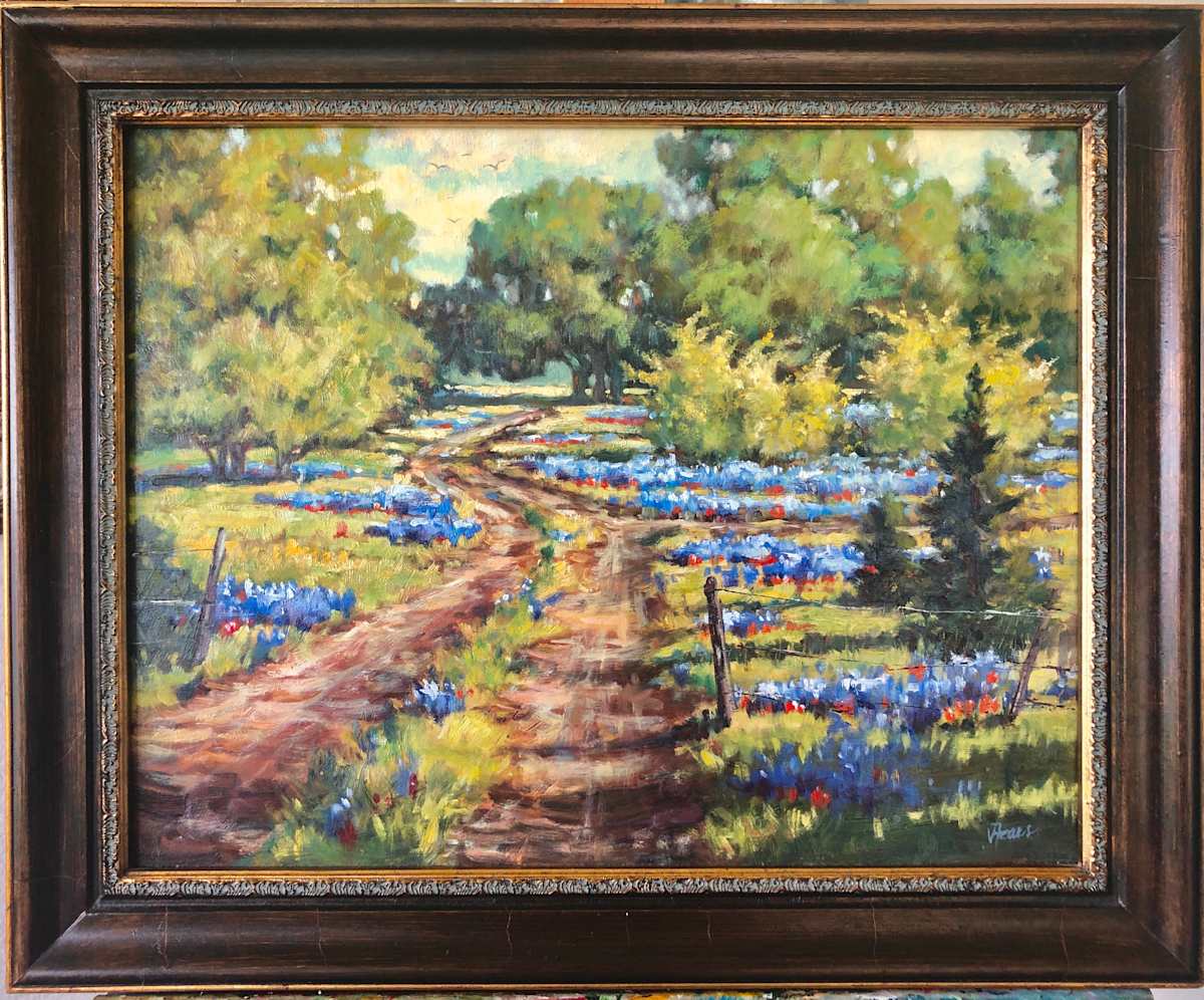 Mr Wimberley’s Bluebonnets by Vickie Fears 