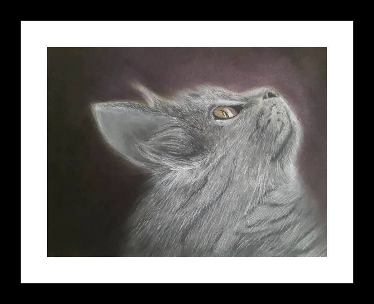 Trouble by Teri Liptak 