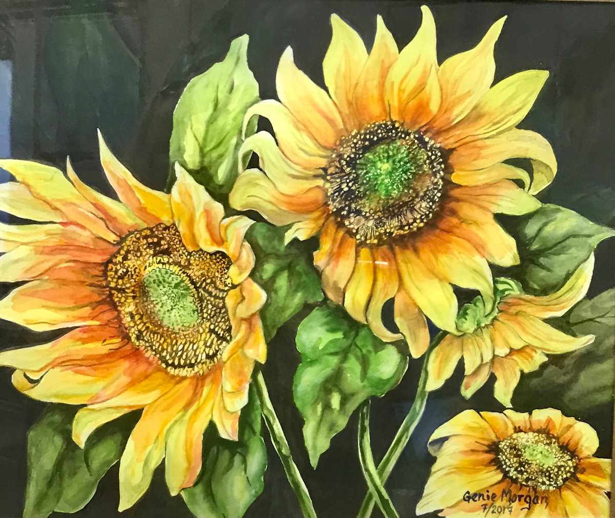 Sunflowers by Genie Morgan 